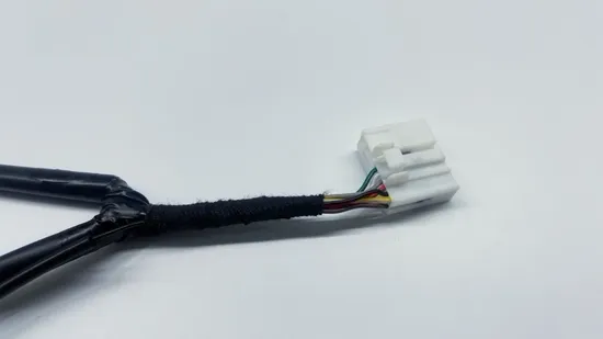 Customizable Electric Vehicle Wiring Harness for Power Connections 