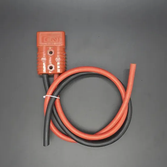 Custom High Quality Wiring Harness with 2